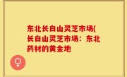 东北长白山灵芝市场(长白山灵芝市场：东北药材的黄金地