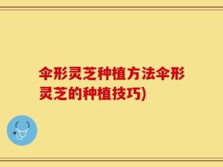 伞形灵芝种植方法伞形灵芝的种植技巧)