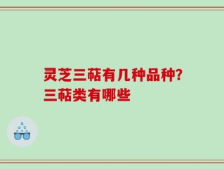 灵芝三萜有几种品种？三萜类有哪些