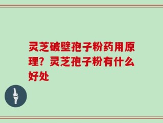 灵芝破壁孢子粉药用原理？灵芝孢子粉有什么好处