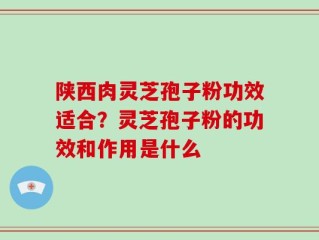 陕西肉灵芝孢子粉功效适合？灵芝孢子粉的功效和作用是什么