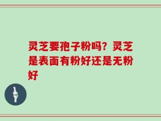 灵芝要孢子粉吗？灵芝是表面有粉好还是无粉好
