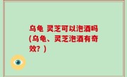 乌龟 灵芝可以泡酒吗(乌龟、灵芝泡酒有奇效？)