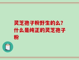 灵芝孢子粉野生的么？什么是纯正的灵芝孢子粉