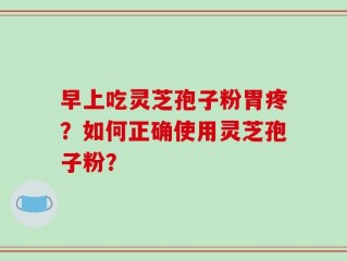 早上吃灵芝孢子粉胃疼？如何正确使用灵芝孢子粉？