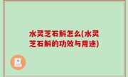 水灵芝石斛怎么(水灵芝石斛的功效与用途)