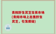 贵阳野生灵芝交易市场(贵阳市场上出售野生灵芝，引发质疑)
