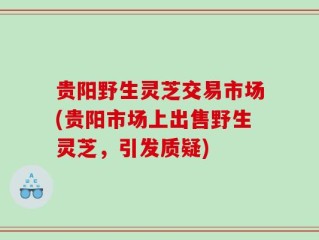 贵阳野生灵芝交易市场(贵阳市场上出售野生灵芝，引发质疑)