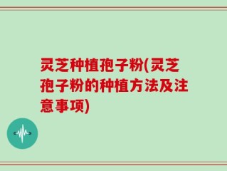 灵芝种植孢子粉(灵芝孢子粉的种植方法及注意事项)