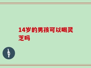 14岁的男孩可以喝灵芝吗