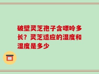 破壁灵芝孢子含嘌呤多长？灵芝适应的湿度和湿度是多少