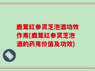 鹿茸红参灵芝泡酒功效作用(鹿茸红参灵芝泡酒的药用价值及功效)