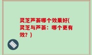 灵芝芦荟哪个效果好(灵芝与芦荟：哪个更有效？)