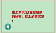 楼上紫灵芝(重塑肌肤的秘密：楼上的紫灵芝)