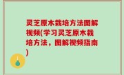灵芝原木栽培方法图解视频(学习灵芝原木栽培方法，图解视频指南)