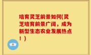 培育灵芝前景如何(灵芝培育前景广阔，成为新型生态农业发展热点！)