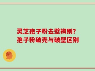灵芝孢子粉去壁辨别？孢子粉破壳与破壁区别
