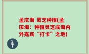 孟庆海 灵芝种植(孟庆海：种植灵芝成海内外嘉宾“打卡”之地)