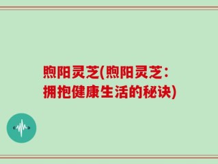 煦阳灵芝(煦阳灵芝：拥抱健康生活的秘诀)