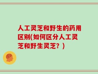 人工灵芝和野生的药用区别(如何区分人工灵芝和野生灵芝？)