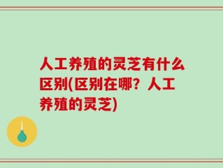 人工养殖的灵芝有什么区别(区别在哪？人工养殖的灵芝)