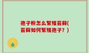 孢子粉怎么繁殖苔藓(苔藓如何繁殖孢子？)