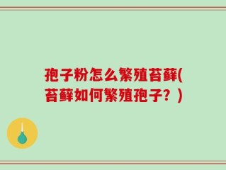 孢子粉怎么繁殖苔藓(苔藓如何繁殖孢子？)