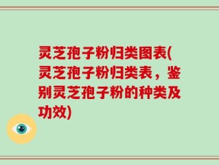 灵芝孢子粉归类图表(灵芝孢子粉归类表，鉴别灵芝孢子粉的种类及功效)