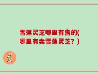雪莲灵芝哪里有售的(哪里有卖雪莲灵芝？)