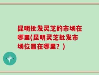 昆明批发灵芝的市场在哪里(昆明灵芝批发市场位置在哪里？)