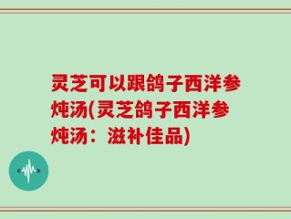 灵芝可以跟鸽子西洋参炖汤(灵芝鸽子西洋参炖汤：滋补佳品)