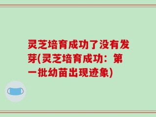灵芝培育成功了没有发芽(灵芝培育成功：第一批幼苗出现迹象)
