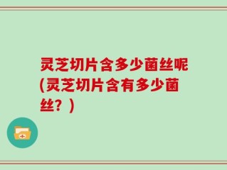灵芝切片含多少菌丝呢(灵芝切片含有多少菌丝？)