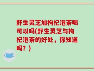 野生灵芝加枸杞泡茶喝可以吗(野生灵芝与枸杞泡茶的好处，你知道吗？)