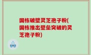 国栋破壁灵芝孢子粉(国栋推出壁垒突破的灵芝孢子粉)