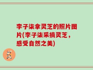 李子柒拿灵芝的照片图片(李子柒采摘灵芝，感受自然之美)