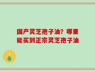 国产灵芝孢子油？哪里能买到正宗灵芝孢子油