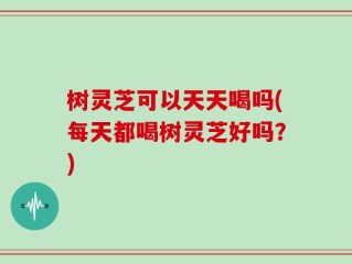 树灵芝可以天天喝吗(每天都喝树灵芝好吗？)