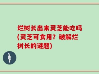 烂树长出来灵芝能吃吗(灵芝可食用？破解烂树长的谜题)