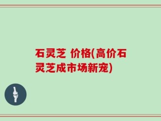 石灵芝 价格(高价石灵芝成市场新宠)