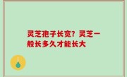 灵芝孢子长宽？灵芝一般长多久才能长大