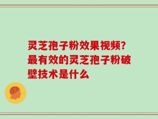 灵芝孢子粉效果视频？最有效的灵芝孢子粉破壁技术是什么