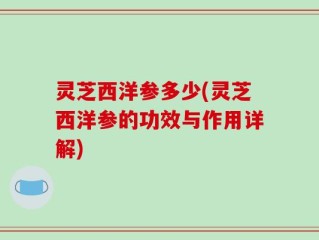 灵芝西洋参多少(灵芝西洋参的功效与作用详解)