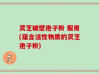 灵芝破壁孢子粉 服用(蕴含活性物质的灵芝孢子粉)