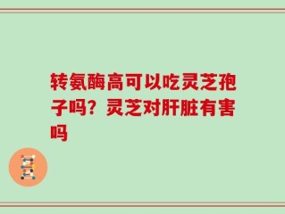 转氨酶高可以吃灵芝孢子吗？灵芝对肝脏有害吗