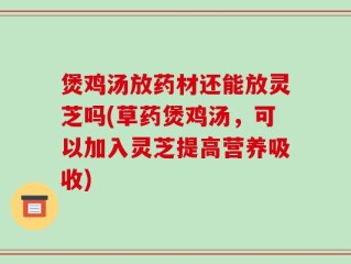 煲鸡汤放药材还能放灵芝吗(草药煲鸡汤，可以加入灵芝提高营养吸收)