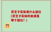 灵芝子实体是什么部位(灵芝子实体的来源是哪个部位？)