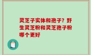 灵芝子实体和孢子？野生灵芝粉和灵芝孢子粉哪个更好