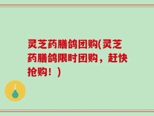 灵芝药膳鸽团购(灵芝药膳鸽限时团购，赶快抢购！)