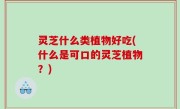 灵芝什么类植物好吃(什么是可口的灵芝植物？)